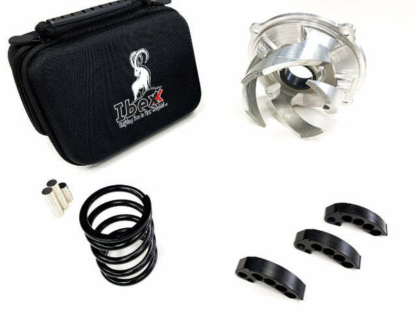 IBEXX CLUTCH KIT STAGE 2 POL 850 11791-2