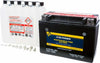 FIRE POWER BATTERY CTX15L-BS MAINTENANCE FREE CTX15L-BS
