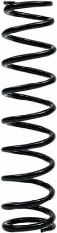 EPI SUSPENSION SPRING WE325119