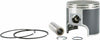 SP1 PISTON T-MOLY S-D 09-761