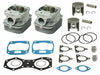 SP1 CYLINDER KIT 550 FAN POL SM-09605K