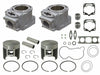 SP1 CYLINDER KIT POL SM-09611K