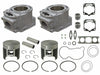 SP1 CYLINDER KIT POL SM-09612K