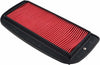 HIFLOFILTRO AIR FILTER HFA4916