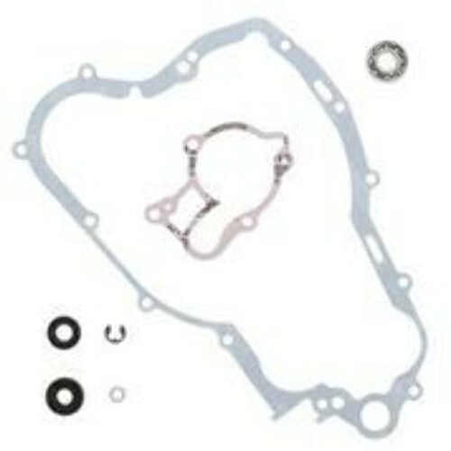 VERTEX WATER PUMP REBUILD KIT 821670