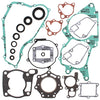 VERTEX COMPLETE GASKET SET WITH OIL SEALS 811252