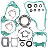 VERTEX COMPLETE GASKET SET WITH OIL SEALS 811253