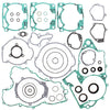 VERTEX COMPLETE GASKET SET WITH OIL SEALS 811306