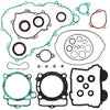 VERTEX COMPLETE GASKET SET WITH OIL SEALS 811339