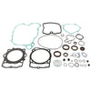 VERTEX COMPLETE GASKET SET WITH OIL SEALS 811343