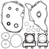 VERTEX COMPLETE GASKET SET WITH OIL SEALS 811415