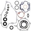 VERTEX COMPLETE GASKET SET WITH OIL SEALS 811417