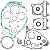 VERTEX COMPLETE GASKET SET WITH OIL SEALS 811643