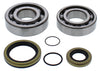 ALL BALLS CRANKSHAFT BEARING / SEAL KIT GAS 24-1118