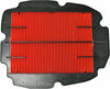 EMGO AIR FILTER 12-91170