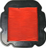 EMGO AIR FILTER 12-93860