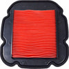 EMGO AIR FILTER 12-93862