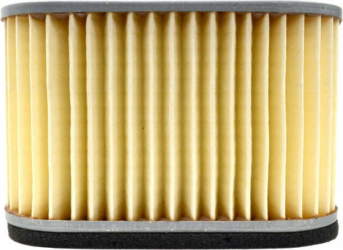 EMGO AIR FILTER 12-94310