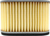 EMGO AIR FILTER 12-94310