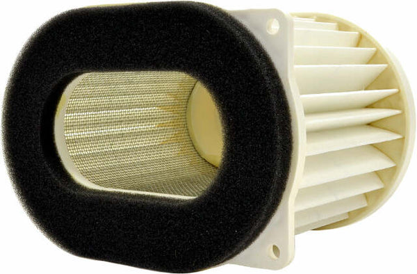EMGO AIR FILTER 12-94434