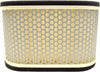 EMGO AIR FILTER 12-94462