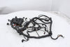 Main Wire Harness BMW S1000RR 09-14 OEM