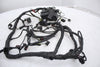 Main Wire Harness BMW S1000RR 09-14 OEM