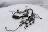 Wiring Harness Engine BMW S1000RR 09-14 OEM