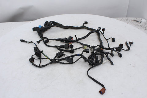 Wiring Harness Triumph Daytona 675 06-12 OEM