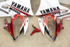 Aftermarket Fairing Kit Yamaha YZF-R6 06-07