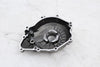 Engine Stator Cover Sandblasted Yamaha YZF-R6 08-16 OEM