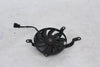 Radiator Fan  Yamaha YZF-R6 08-16 OEM