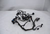 Main Wire Harness Triumph Daytona 675 06-12 OEM