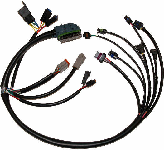 NAMZ CUSTOM CYCLE PRODUCTS COMPLETE EFI HARNESS 02-05 NHD-70233-02