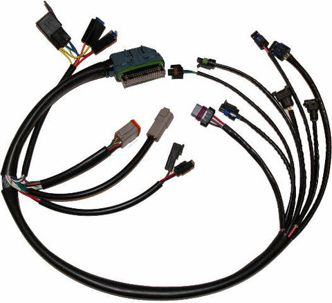 NAMZ CUSTOM CYCLE PRODUCTS COMPLETE EFI HARNESS 02-05 NHD-70233-02