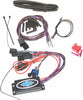 NAMZ CUSTOM CYCLE PRODUCTS RBT STATIC SEQ MOD W/LEQ BIG TWIN INDIAN 14-UP ILL-SS-IND