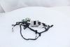 Rapid Bike Evo Fuel Injection Controller Ducati Monster 1200/S 14-19