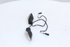 Rear Turn Signal Set Ducati Monster 1200/S 14-19 OEM
