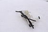 Radiator Coolant Reservoir Honda CBR1000RR 17-19 OEM
