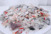 Hardware MISC Dealership Parts LOT Beaings Seals Orings Fastners Honda OEM
