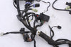 Main Wire Harness KTM Duke 690 12-19 OEM