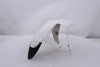 Front Fender KTM Duke 690 12-19 OEM