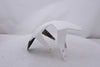 Front Fender KTM Duke 690 12-19 OEM