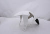 Front Fender KTM Duke 690 12-19 OEM