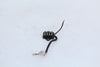 Fuse Junction box Suzuki GS550M 82 OEM GS 550