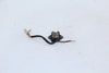 Fuse Junction box Suzuki GS550M 82 OEM GS 550