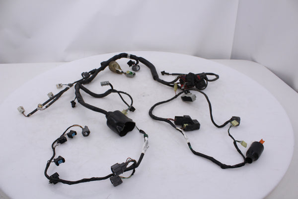 Main Wire Harness no cuts Honda CBR600F4i 01-06 OEM CBR 600 F4i