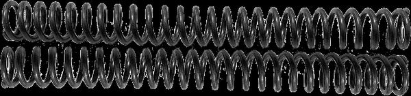 HARDDRIVE SCEPTER OPTION SPRING STD 39MM R3050076