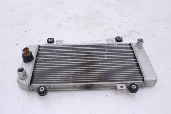 Radiator Kawasaki EX250 Ninja 08-12 OEM