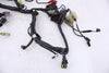 Main Wire Harness Kawasaki EX300 Ninja 13-17 OEM